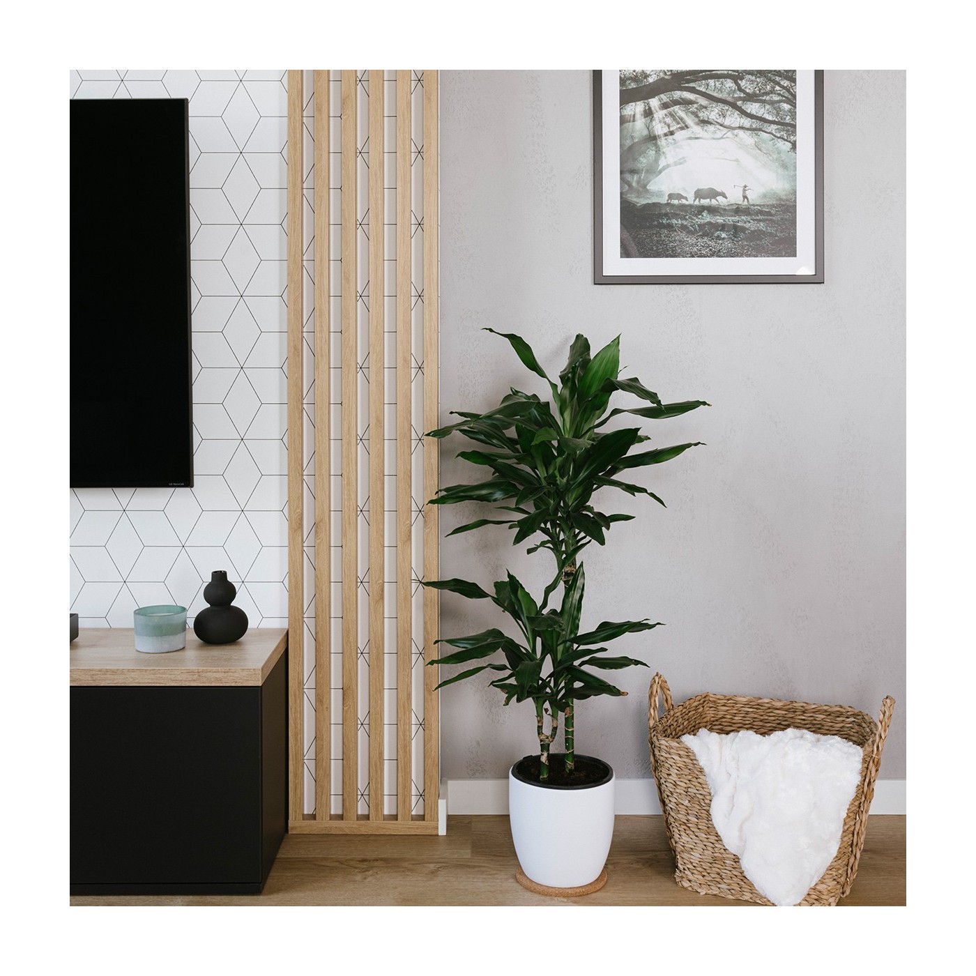 Panely na desce Sonoma dub [30x275 cm] - lameo® shop