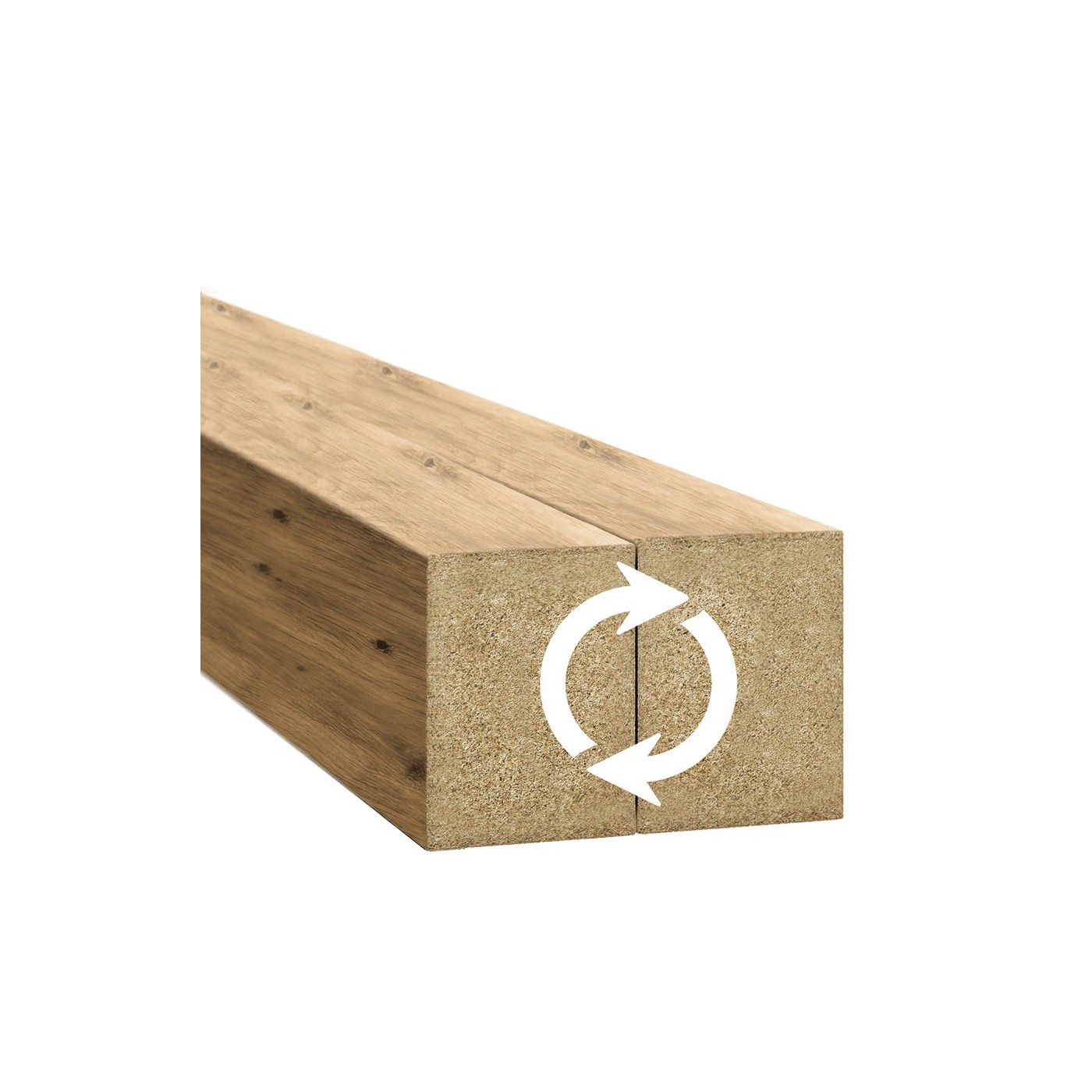 Lamely Standard dub artisan ⭐ [30x40] - lameo®